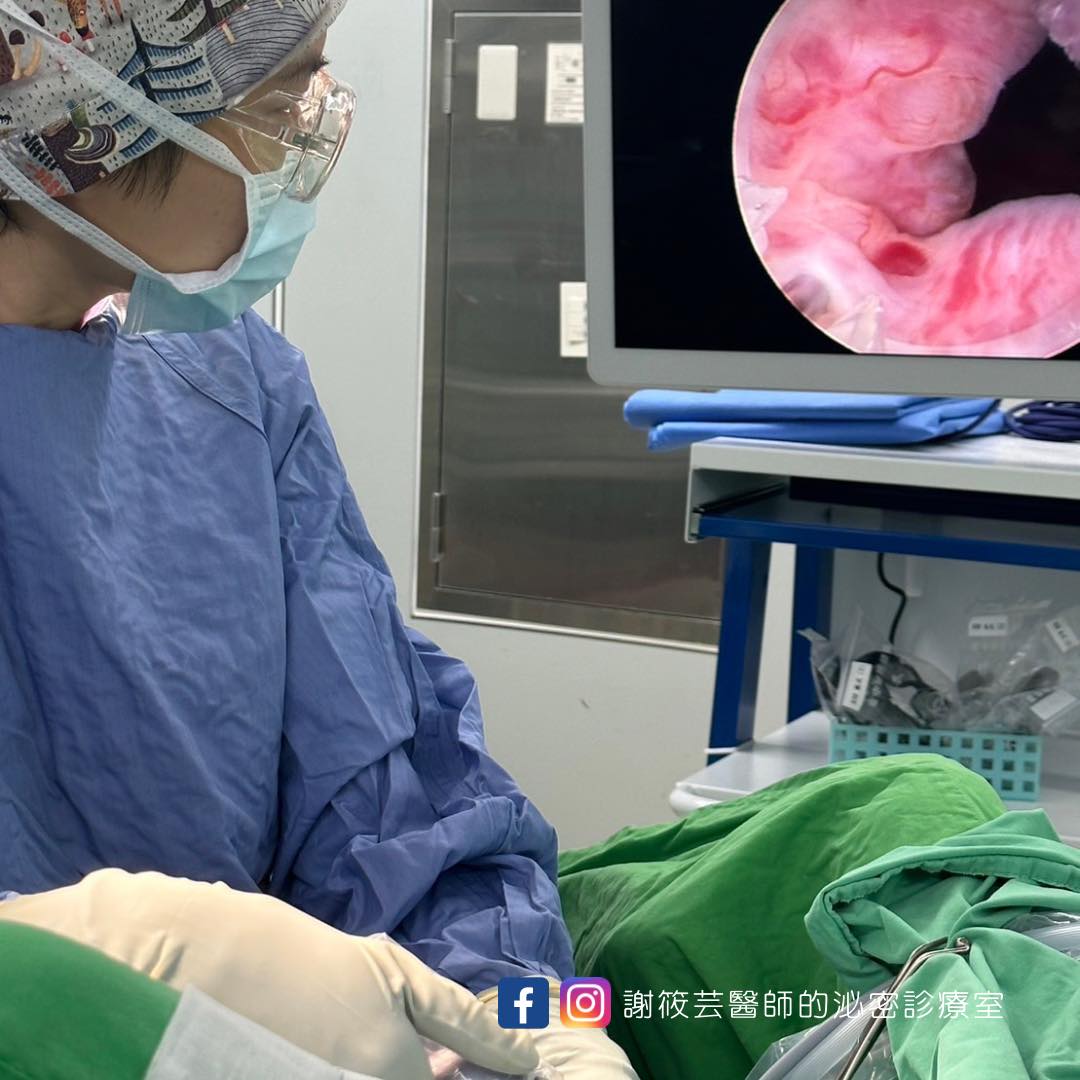 475769056_584215541088060_3322740875972249986_n