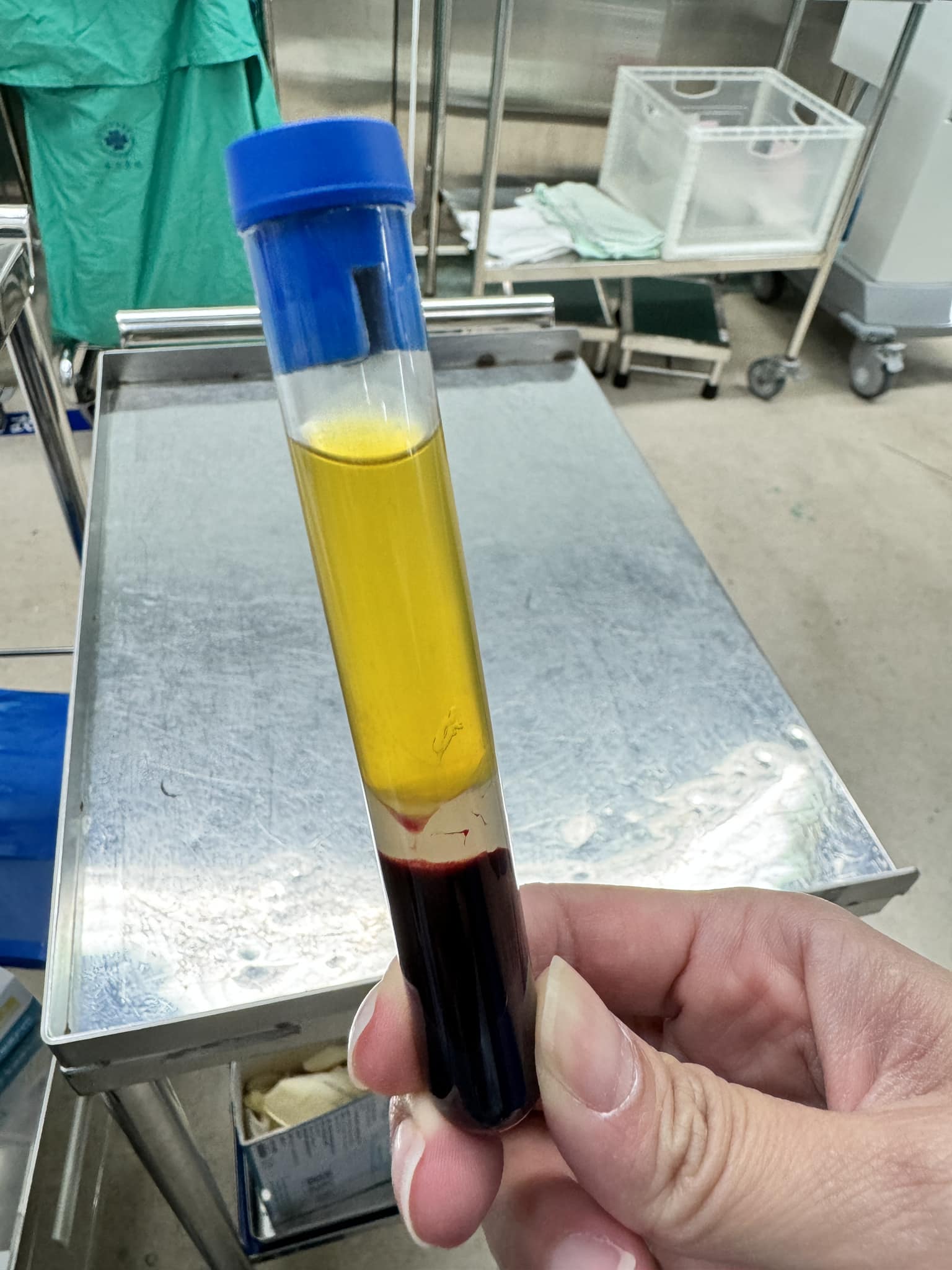 481057770_603580609151553_2180278321344535279_n